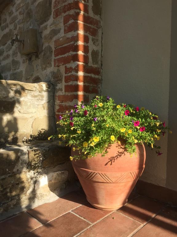 瓜尔多塔迪诺Casale Degli Ulivi别墅 外观 照片